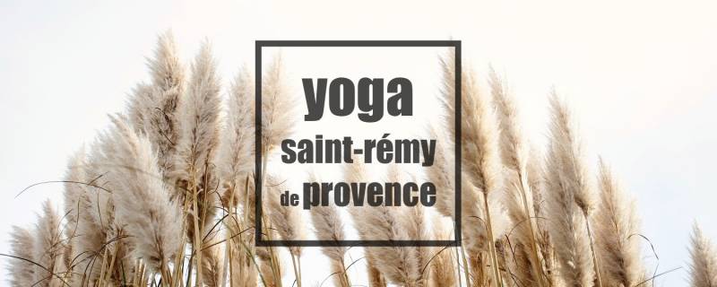 yoga saint rémy de provence au mas de jonquerolles