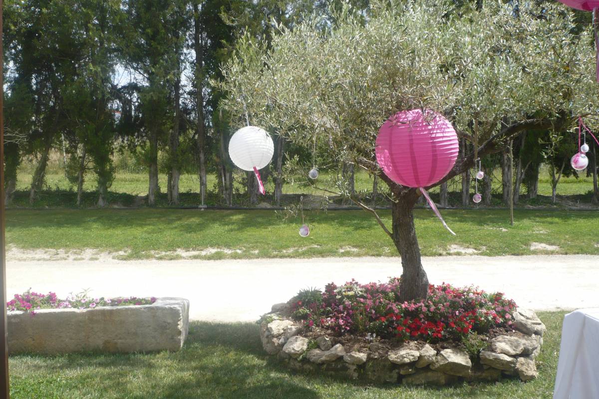 grand jardin pour accueillir la cérémonie de mariage saint rémy de provence bdr
