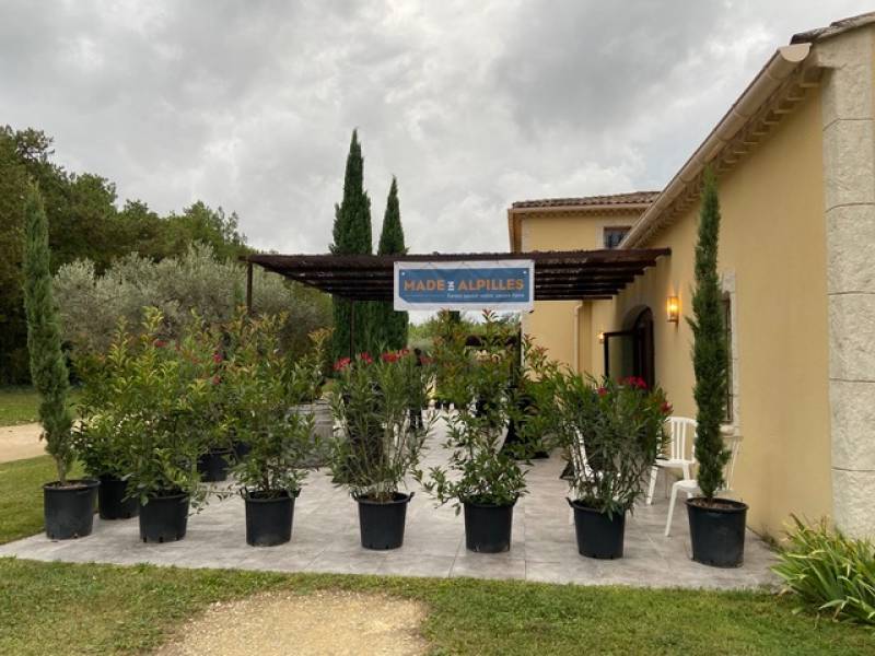 réunion association made in alpilles à saint rémy de provence