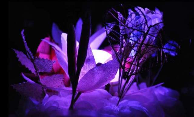 prestation lumineuse d'ambiance Saint Rémy de Provence garden party