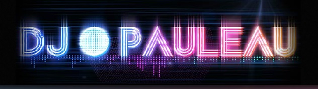 DJ Saint Remy de Provence Pauleau animation